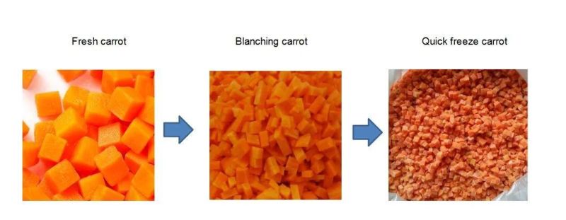 Diced Carrots Carrot Slices Blanching Machine