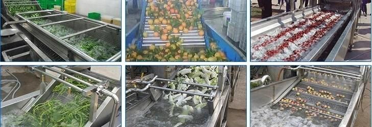 Fruit Processing Equipment Vegetable Sorting Grading Washing Machinery