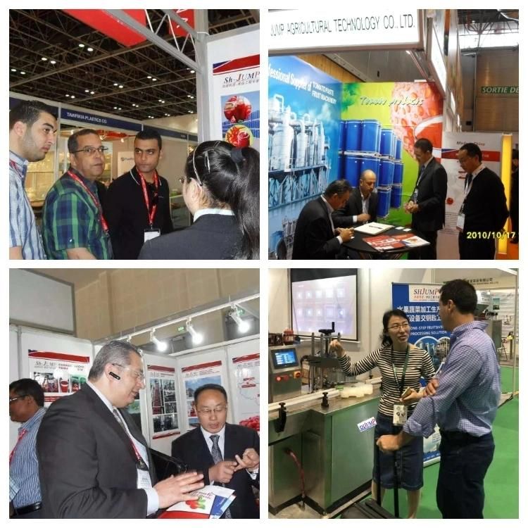 Coconut Milk Processing Machine/Coconut Oil Processing Line