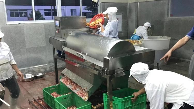 Shanghai Genyond Pomegranate Seeds Separating Machine