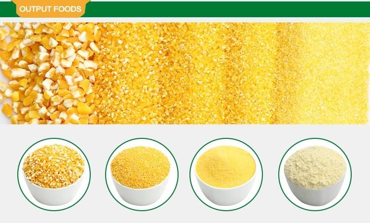 China Hongdefa Top Quality EU Standard 100t Maize Processing Machine