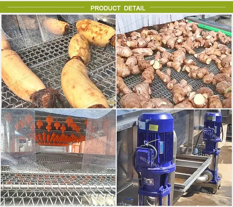 Factory Supply Mushroom Spring Onion Citrus Fruit Washing Machine