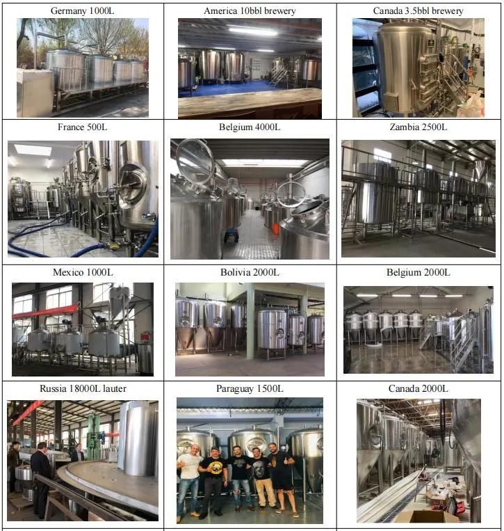 Price of 500L Beer Brewery for Beer Brewing Plant Supplies Near Me for Sale