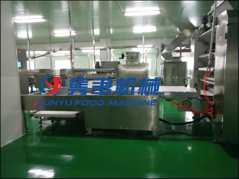 Compelete Industrial Biscuit/Cookie Making Machine From China