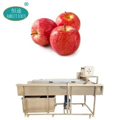 Brush Fruits Washing Cleaning Machinery Automatic Apple Washer Machine