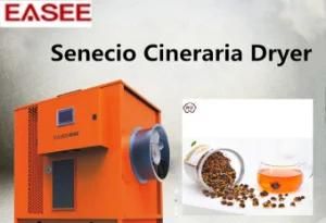 Commercial Durable Used Integral Drying Equipment for Senecio Cineraria Dryer