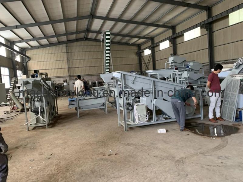 Peanut Kernel Sorting Machine Peanut Grading Machine Almond Sorting Machine