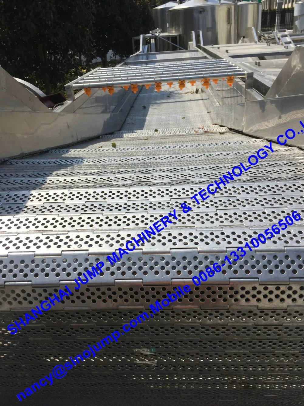 Papaya Juice Processing Production Line