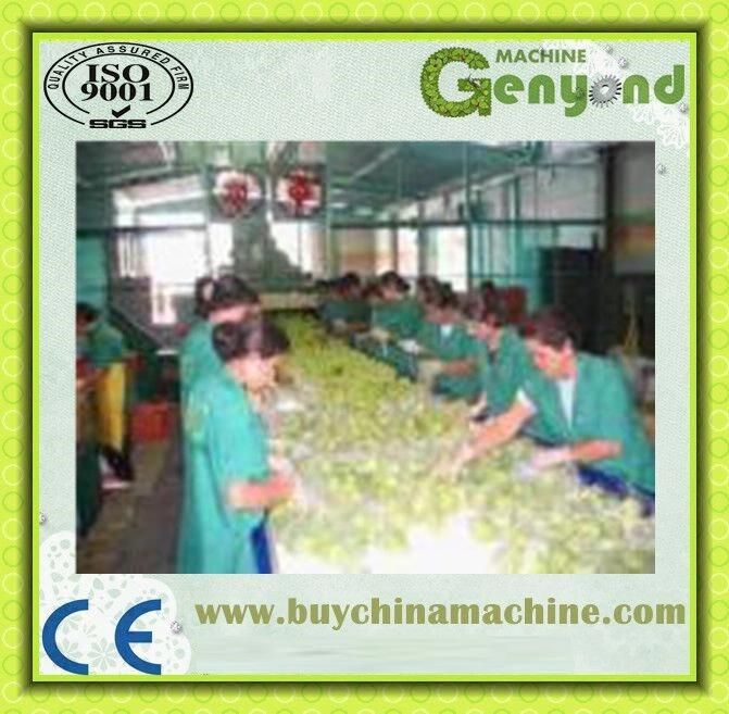 Orange Apple Fruit Juice Processing Line in China