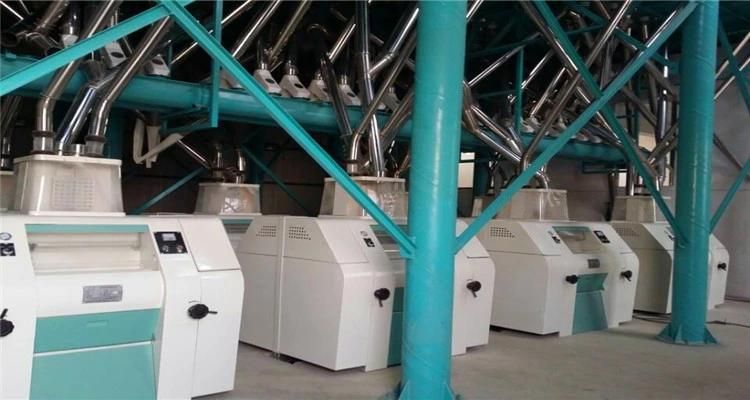 Hongdefa 120t/24h Complete Wheat Flour Milling Machine