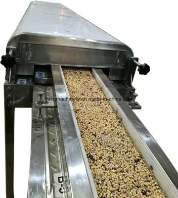 Gusu High Appreciated Chocolate Bar Making Machine