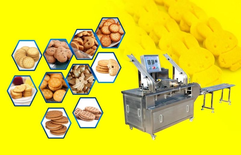Automatic Bear Biscuit Production Line Chocolate Sandwiching Hard Biscuit Machine Best Price High Quality