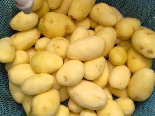 Brush Roller Type Batch Potato Washing Peeling Machine