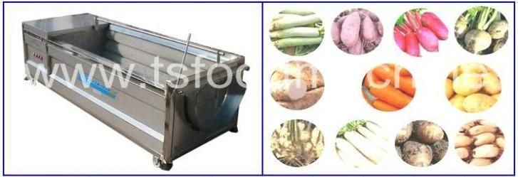 Yam Peeling and Washing Machine with Brush Type
