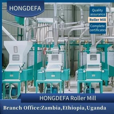 Popular 30t/24h Maize Corn Flour Processing Mill Plant for Africa