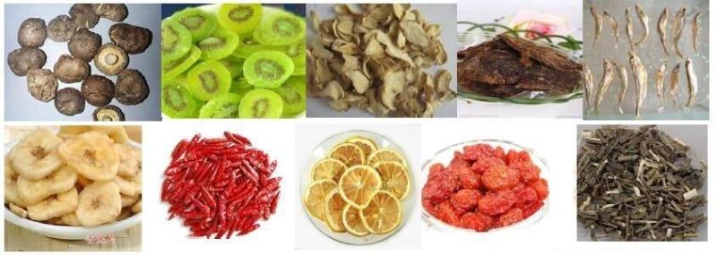 High Efficency Electric Fruit Vegetable Dehydrator Dryer
