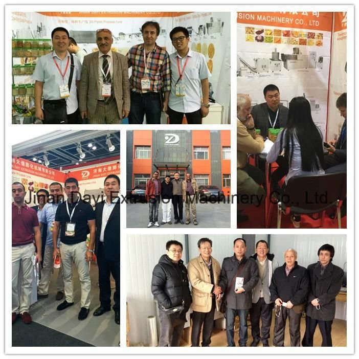 Kelloggs Corn Flakes Roaster/Cereal Curved Ring Snacks Extruder Machine/Grain Cereal Food Production Line