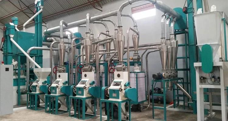 for Tanzania Maize Mill of 24t/D Maize Milling Plant