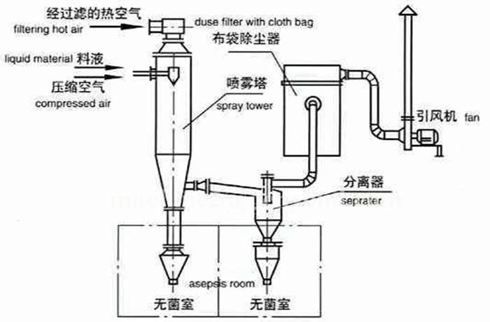 Turnkey Project Complete Whole Banana Powder Production Plant