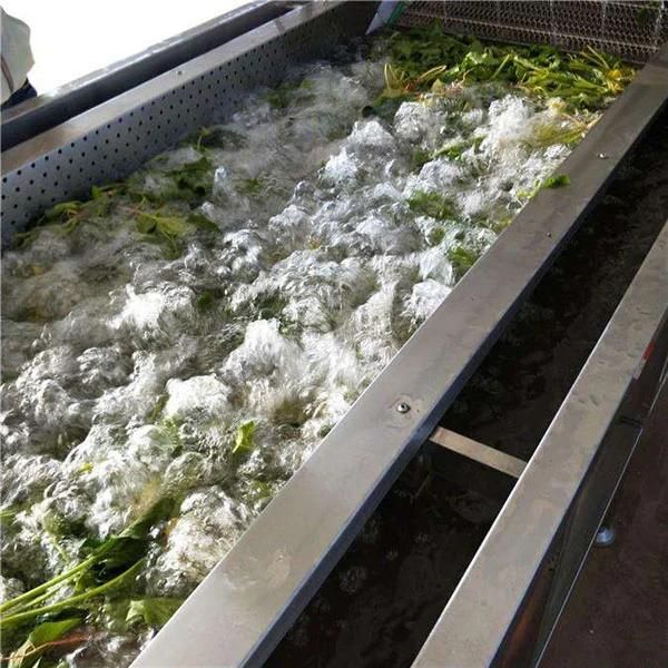 Continuous Dates and Vegetable Fruits Washer Washing Machines