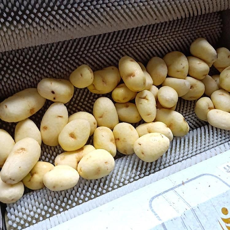 Root Vegetable Ginger Potato Roller Peeler Vegetable Fruit Brush Washing Peeling Machine