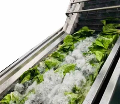 Leafy Vegetable Bubble Washing Washer Spray Fruit Washing Machine