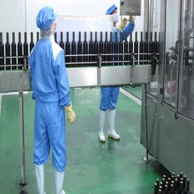 Yellow Dragon Fruit Fresh Juice Full Automatic Production Line