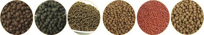 High Nutrition Floating Fish Feed Equipment