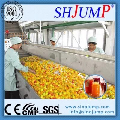 Fruit &amp; Vegetable Processing Machine