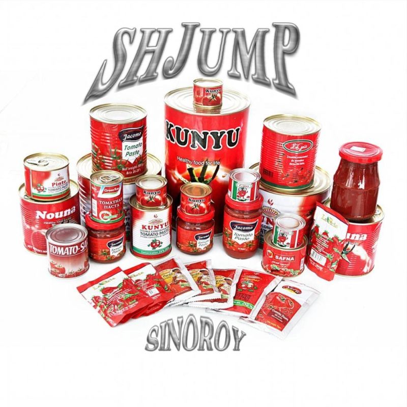 Samll Scale Capacity 500kg Per Hour Tomato Paste Sauce Ketchup Making Machine