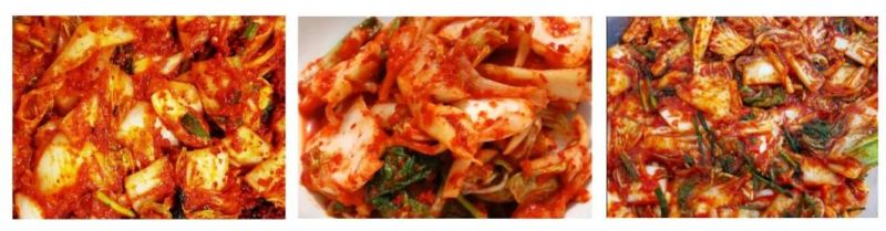 50kg Tumbler Mixer Seasoning Kimchi Mixing Machine