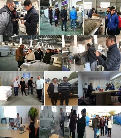 China Factory Supply Good Quality Pet Food Fish Feed Machine