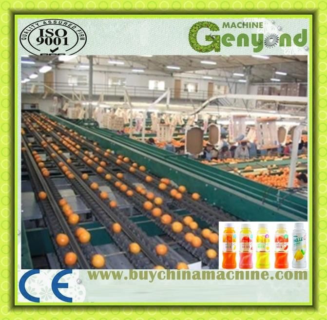 Orange Apple Juice Production Line