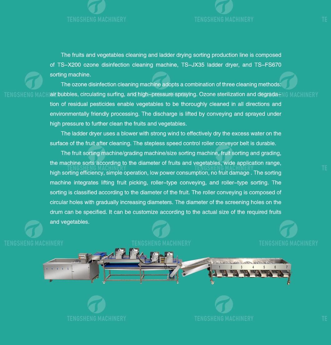 Citrus Apple Orange Passion Fruit Cleaning Air Drying Sorting Production Line Food Processing Equipment Machine