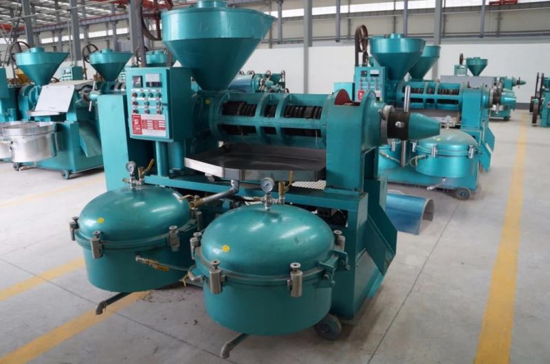 Sunflower Oil Press Machine with Oil Filter From Guangxin Brand