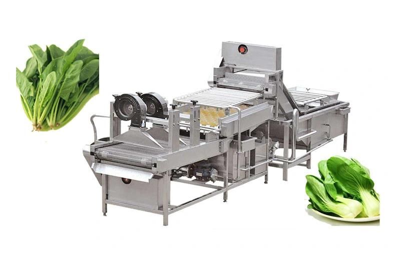 China Factory Direct Supply Vegetable Fruit Air Bubble Washing Machinery