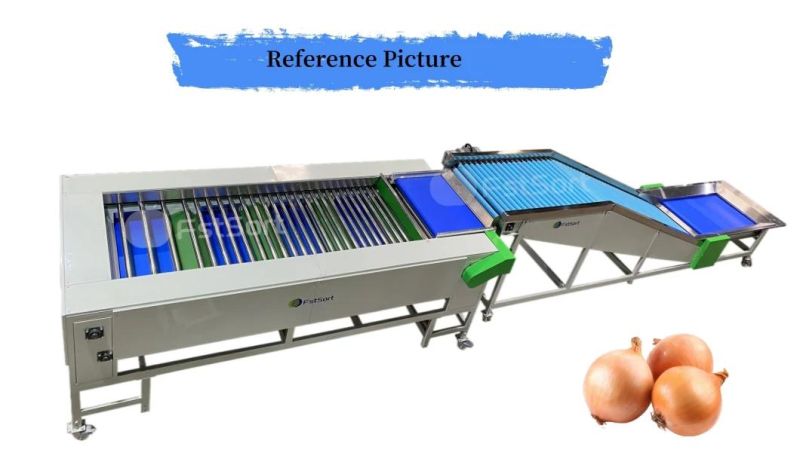 Large Capacity Garlic Onion Vegetable Sorting Grading Machine