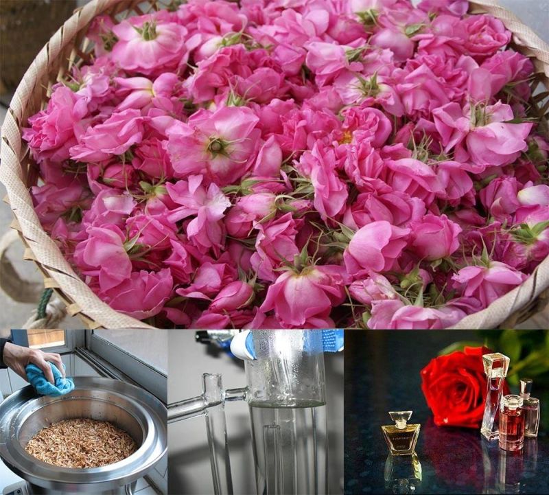 Crude Oil Distillation Machine/Peppermint Oil Making Machine for Sale