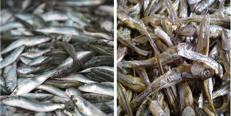 Industrial Hot Air Dehydrating Drying Machinery Dried Fish Machine