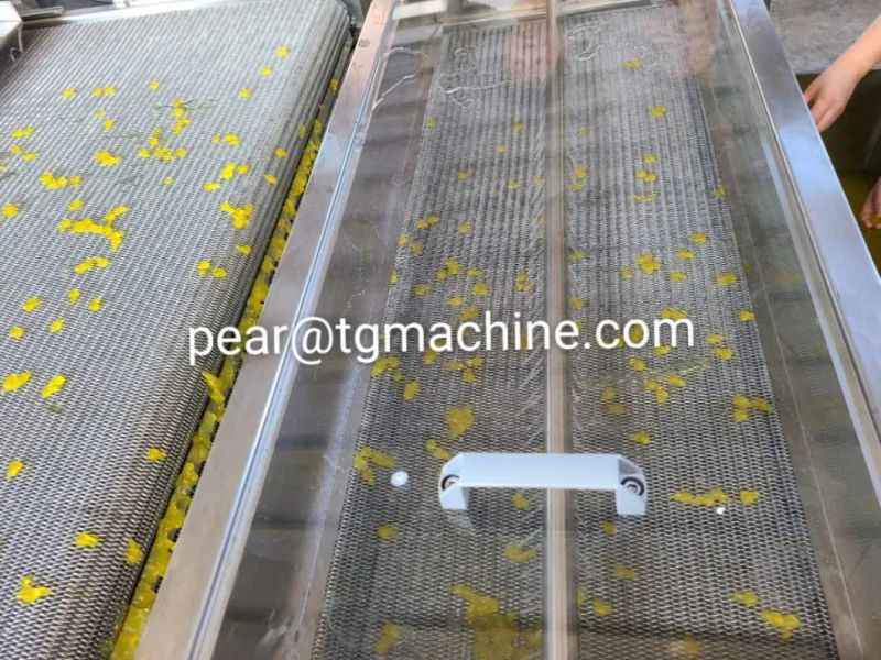 Popping Jelly Bubble Tea Boba Pearls Making Machine Production Line