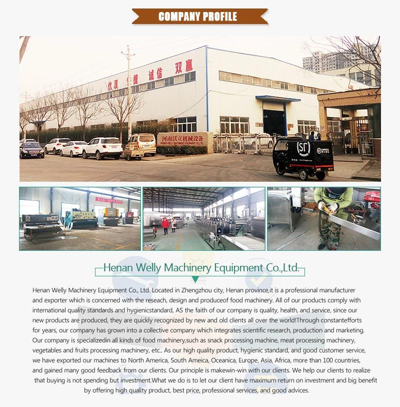 CE Approved Potato Chips Fryer Machine French Fries Fryer Machine