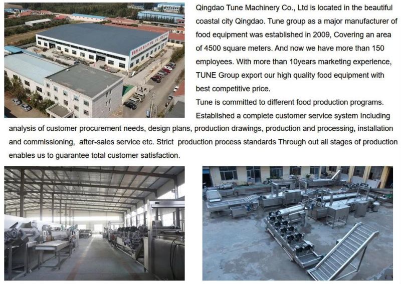 Potato Processing Equipment French Fries Potato Chips Production Line