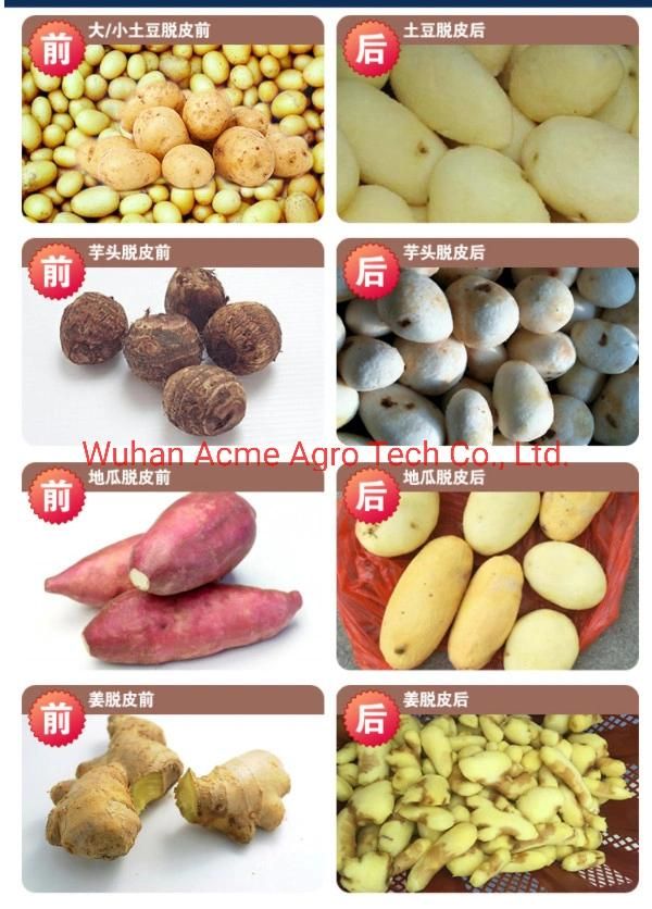 Onion Peeling Machine Price/Ginger Garlic Peeler Machine