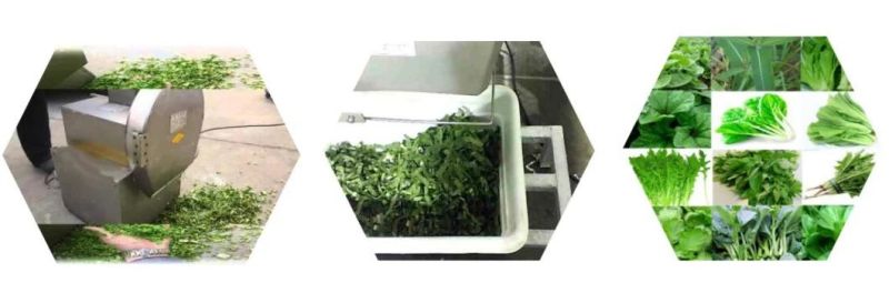 Vegetable Chopper Leaf Cutting Machine Vegetable Cutting Machine