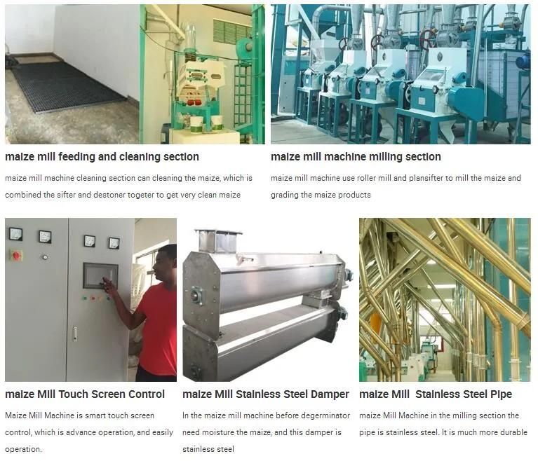 20t Flour Milling Machine for Maize From China