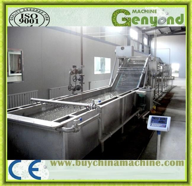 Bubble Cleaning Type Guava Washing Machines