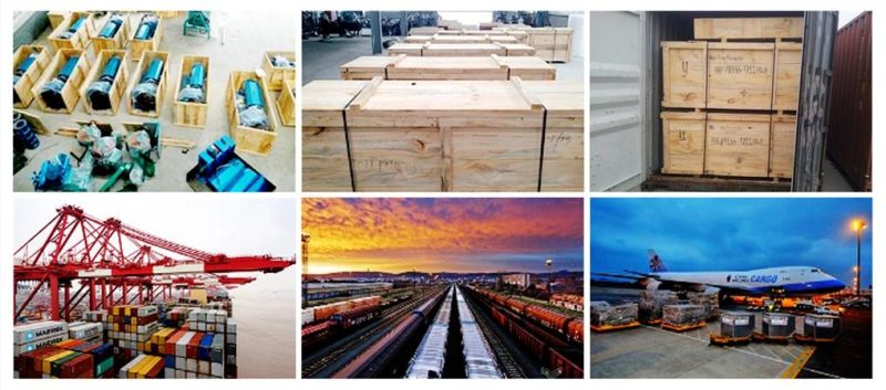 20tpd Edible Oil Press Cooking Edible Oil Production