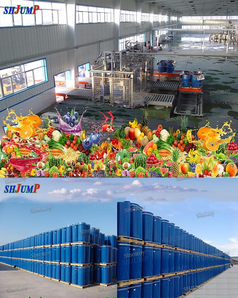 Baby Food Fruit Vegetable Paste Sauce Puree Processing Line