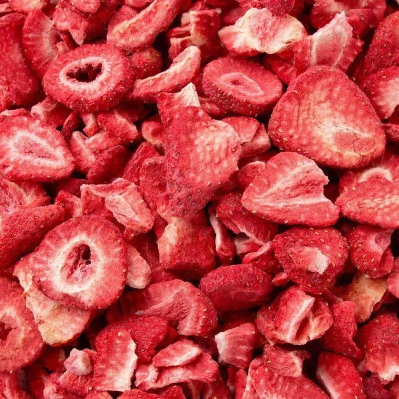 High Quality Freeze Dryer Fruits Machinedry Strawberry Vacuum Lyophilizer