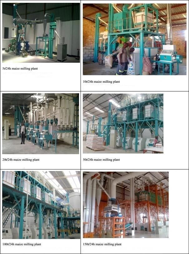 Great Maize Mill Running Griding Maize Flour Miaze Meal Milling Plant